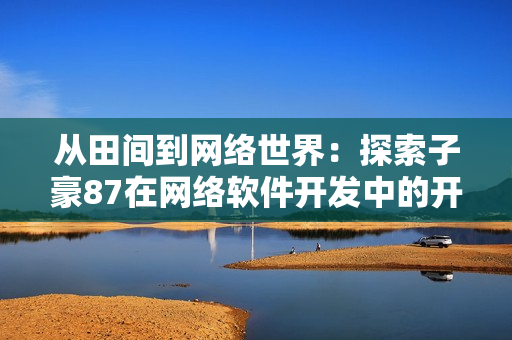 从田间到网络世界：探索子豪87在网络软件开发中的开机方法