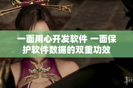 一面用心开发软件 一面保护软件数据的双重功效