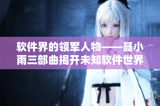 软件界的领军人物——聂小雨三部曲揭开未知软件世界的神秘面纱