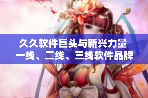 久久软件巨头与新兴力量 一线、二线、三线软件品牌盘点