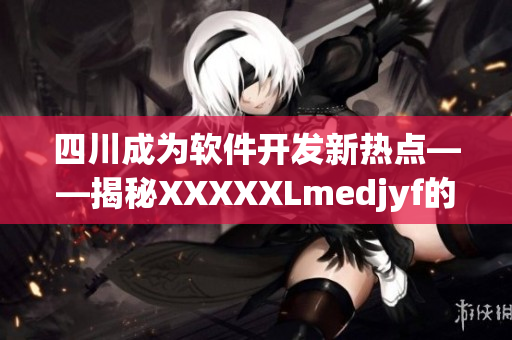 四川成为软件开发新热点——揭秘XXXXXLmedjyf的成功之路