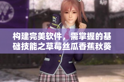 构建完美软件，需掌握的基础技能之草莓丝瓜香蕉秋葵榴莲