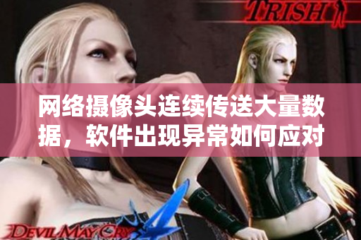 网络摄像头连续传送大量数据，软件出现异常如何应对？