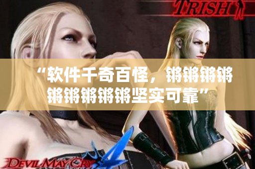 “软件千奇百怪，锵锵锵锵锵锵锵锵锵坚实可靠”