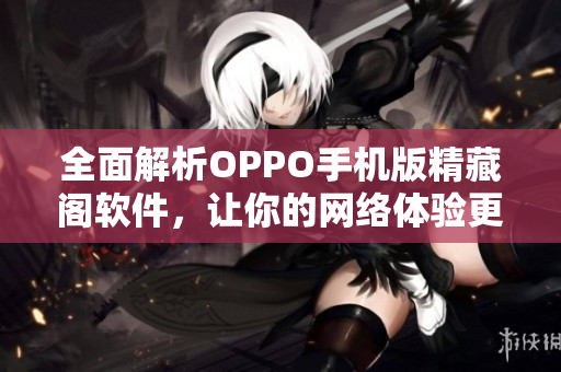 全面解析OPPO手机版精藏阁软件，让你的网络体验更加卓越