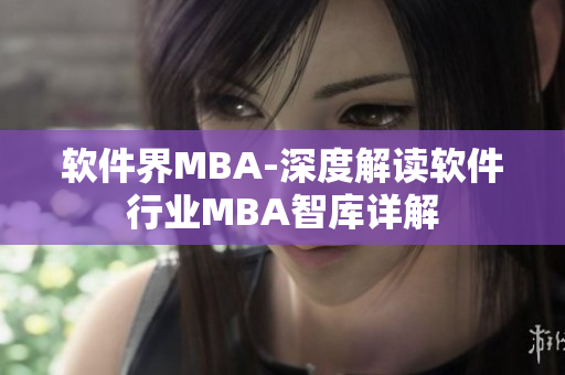 软件界MBA-深度解读软件行业MBA智库详解