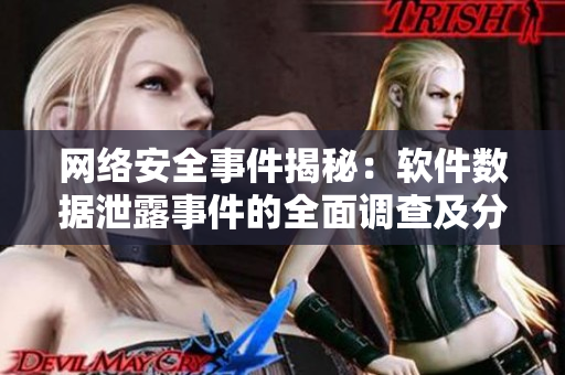 网络安全事件揭秘：软件数据泄露事件的全面调查及分析