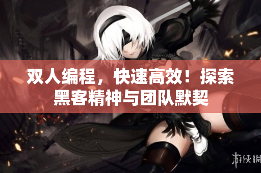 双人编程，快速高效！探索黑客精神与团队默契