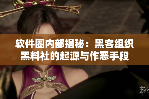 软件圈内部揭秘：黑客组织黑料社的起源与作恶手段