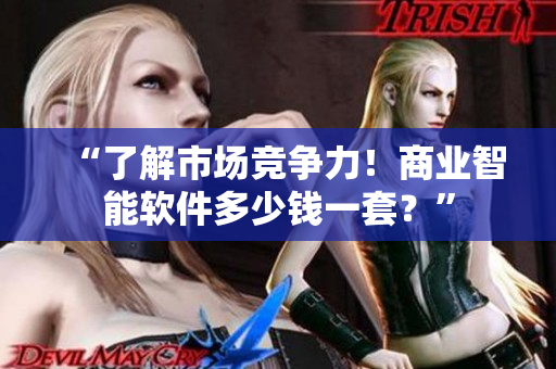 “了解市场竞争力！商业智能软件多少钱一套？”
