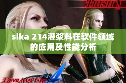 sika 214灌浆料在软件领域的应用及性能分析
