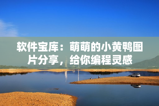 软件宝库：萌萌的小黄鸭图片分享，给你编程灵感
