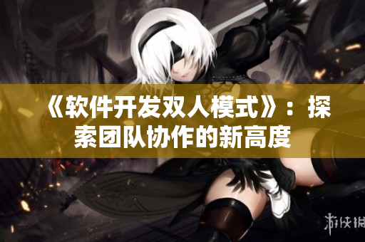 《软件开发双人模式》：探索团队协作的新高度