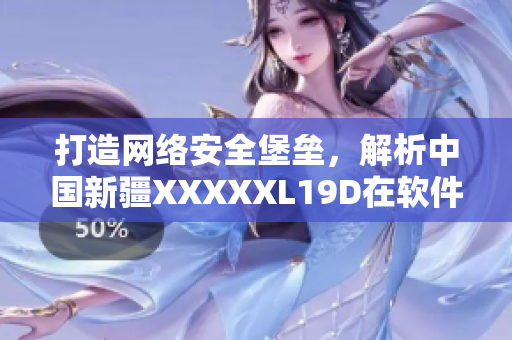 打造网络安全堡垒，解析中国新疆XXXXXL19D在软件领域的应用