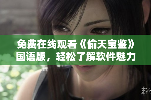 免费在线观看《偷天宝鉴》国语版，轻松了解软件魅力