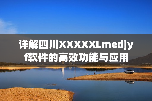 详解四川XXXXXLmedjyf软件的高效功能与应用