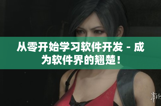 从零开始学习软件开发 - 成为软件界的翘楚！