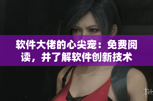 软件大佬的心尖宠：免费阅读，并了解软件创新技术