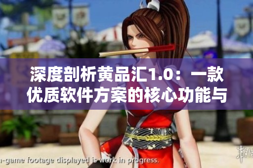 深度剖析黄品汇1.0：一款优质软件方案的核心功能与特点