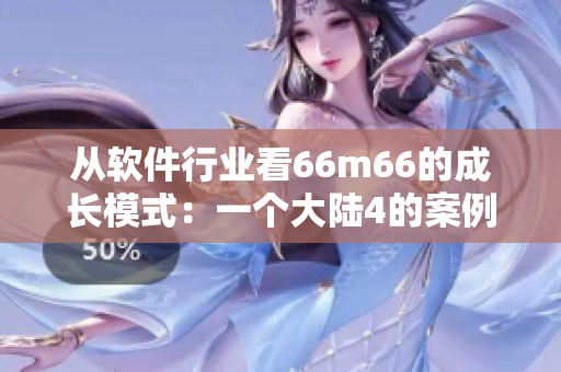 从软件行业看66m66的成长模式：一个大陆4的案例分析