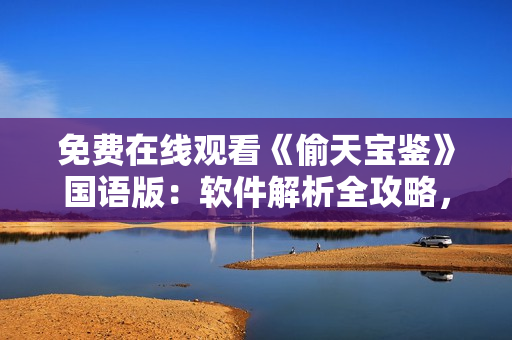 免费在线观看《偷天宝鉴》国语版：软件解析全攻略，兼具娱乐与学习功能