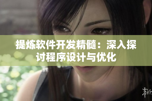 提炼软件开发精髓：深入探讨程序设计与优化
