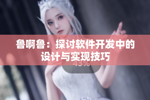 鲁啊鲁：探讨软件开发中的设计与实现技巧