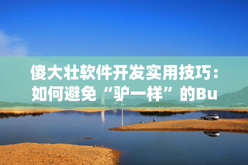 傻大壮软件开发实用技巧：如何避免“驴一样”的Bug？