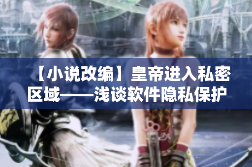 【小说改编】皇帝进入私密区域——浅谈软件隐私保护
