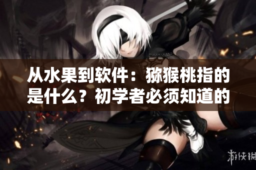 从水果到软件：猕猴桃指的是什么？初学者必须知道的软件术语解析！