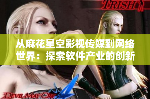 从麻花星空影视传媒到网络世界：探索软件产业的创新之路