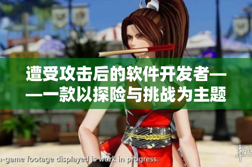 遭受攻击后的软件开发者——一款以探险与挑战为主题的RPG游戏