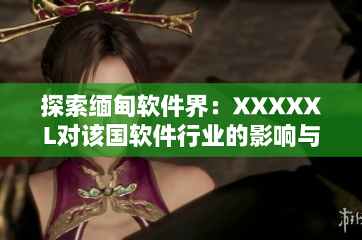 探索缅甸软件界：XXXXXL对该国软件行业的影响与前景展望