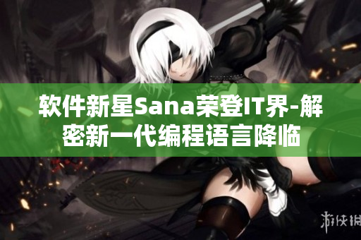 软件新星Sana荣登IT界-解密新一代编程语言降临