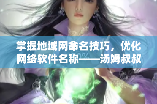 掌握地域网命名技巧，优化网络软件名称——汤姆叔叔专业教授