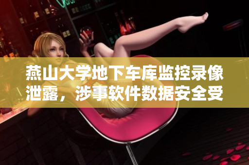 燕山大学地下车库监控录像泄露，涉事软件数据安全受质疑