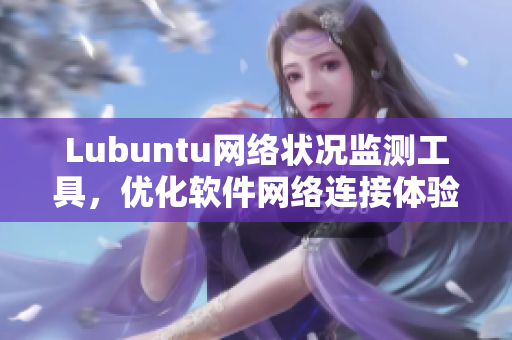 Lubuntu网络状况监测工具，优化软件网络连接体验