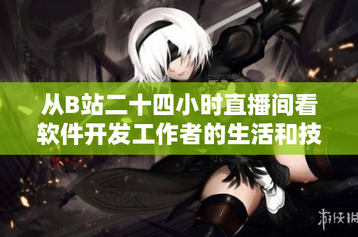 从B站二十四小时直播间看软件开发工作者的生活和技能发展
