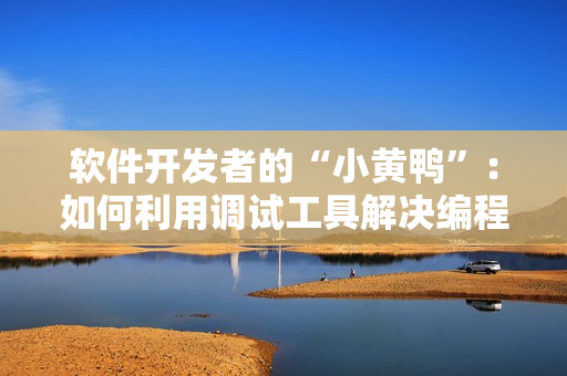 软件开发者的“小黄鸭”：如何利用调试工具解决编程难题