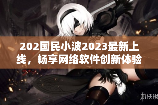 202国民小波2023最新上线，畅享网络软件创新体验