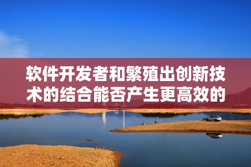 软件开发者和繁殖出创新技术的结合能否产生更高效的编程工具？