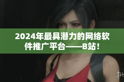 2024年最具潜力的网络软件推广平台——B站！
