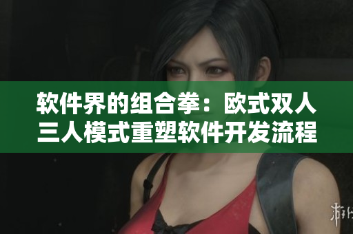 软件界的组合拳：欧式双人三人模式重塑软件开发流程