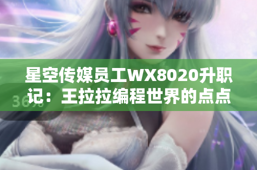 星空传媒员工WX8020升职记：王拉拉编程世界的点点滴滴