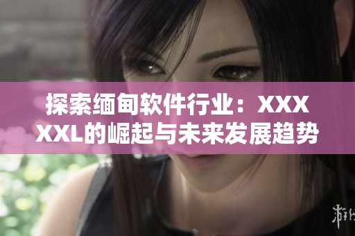 探索缅甸软件行业：XXXXXL的崛起与未来发展趋势