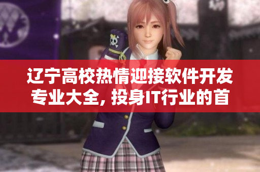 辽宁高校热情迎接软件开发专业大全, 投身IT行业的首选选择