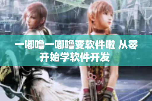 一嘟噜一嘟噜变软件啦 从零开始学软件开发 