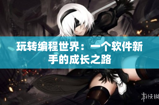 玩转编程世界：一个软件新手的成长之路