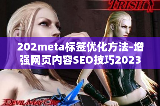 202meta标签优化方法-增强网页内容SEO技巧2023