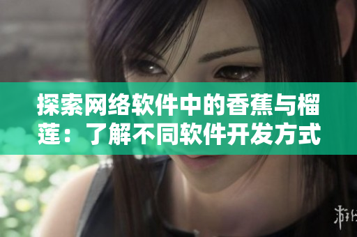 探索网络软件中的香蕉与榴莲：了解不同软件开发方式和技术选型